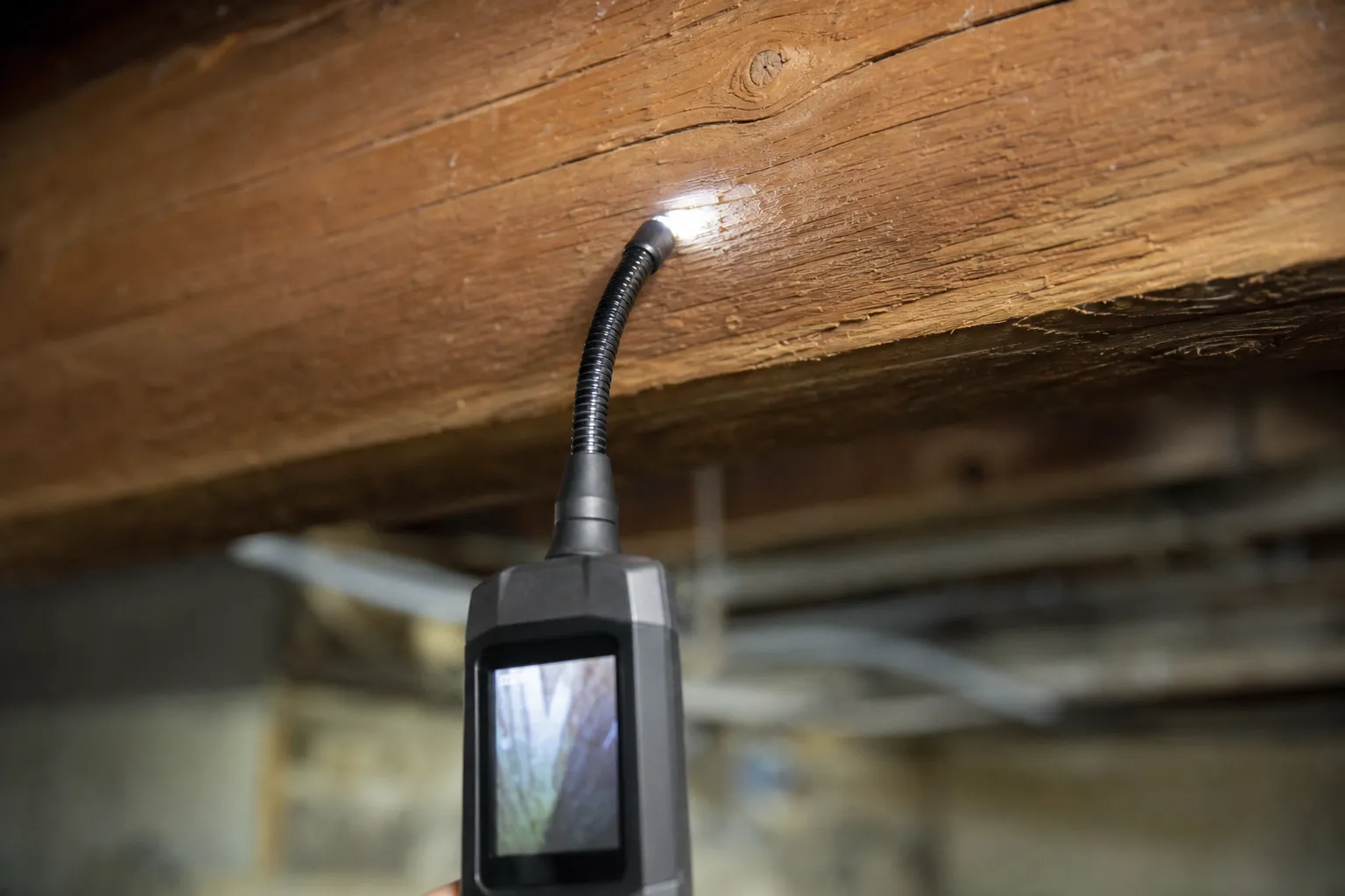 Examen d’une pièce de charpente avec une lampe